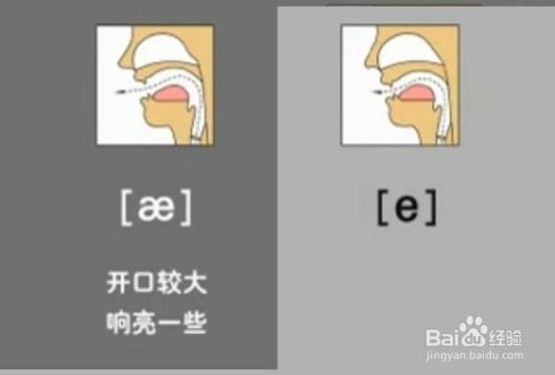 英语48个英语音标快速记忆法（二）