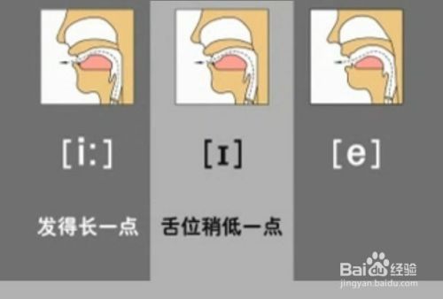 英语48个英语音标快速记忆法（二）